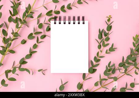 Eucalyptus branches and clean notepad mockup on a pink background. Stock Photo