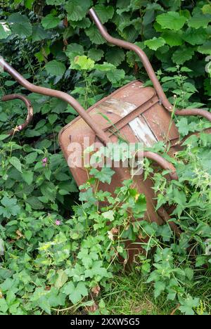 Rusty Wheelbarrow covered in white Bryony Stock Photo