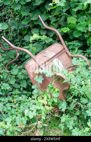Rusty Wheelbarrow covered in white Bryony Stock Photo