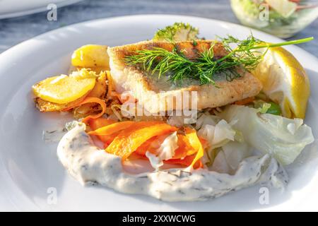 Zander or pikeperch fillet fried on the skin with carrots and cabbage vegetables, roast potatoes, lemon and dill garnish on a white plate, fish course Stock Photo