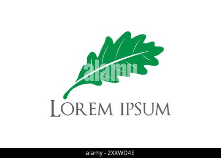 Colorful Oak Leaf Leaves Star Rotate Logo Design Vector Stock Vector