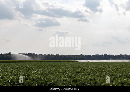 Center-Pivot irrigation system watering crops in the midwest Stock Photo