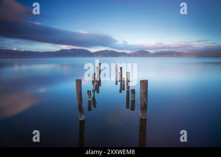 Poles in the lake, remains of a wooden pier. Long Exposure photograph. Lake Massaciuccoli. Torre del Lago Puccini, Versilia, Tuscany region, Italy, Eu Stock Photo