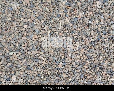 This image captures a vast array of small, multi-colored pebbles filling the frame with a natural mosaic. The pebbles vary in color, predominantly sho Stock Photo