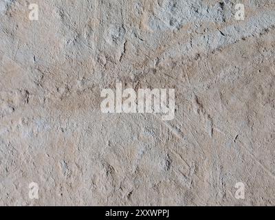 This image captures the intricate details of an earthy textured surface, showcasing the natural beauty of its fine lines and subtle color variations. Stock Photo