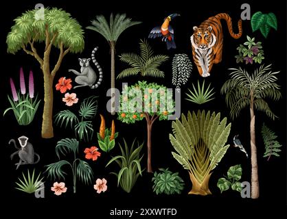Tropical trees, animals, flowers and birds isolated. Vector. Stock Vector