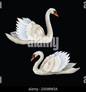 White swan isolated on the black background. Vector. Stock Vector