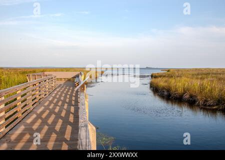 A boardwalk passes through the Currituck Banks Reserve in the Outer Banks, North Carolina, with natural vegetation and coastal forests on the side of Stock Photo