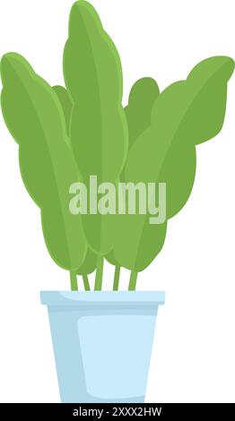 Green plant with long leaves is growing in a white pot Stock Vector