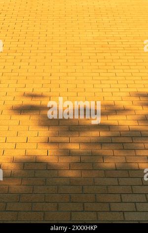 Forced Perspective Tree foliage shadows on bright tan brickwork Stock Photo