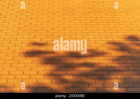 Tree foliage shadows on bright tan brickwork Stock Photo