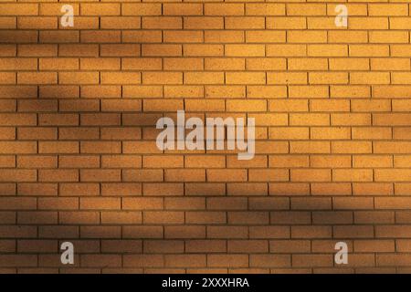Tree foliage shadows on tan brick wall at sunset Stock Photo