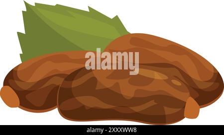 This vector illustration shows three dates lying with green leaf, isolated on white background Stock Vector
