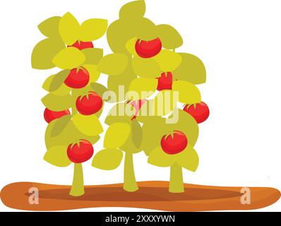 Illustration featuring tomato plants laden with ripe tomatoes growing in the vegetable garden Stock Vector
