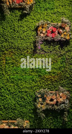 Green Grass Wall background. Portrait photo of green grass wallpaper Stock Photo