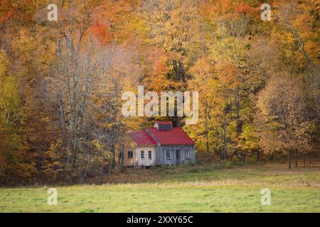 Old farm in Canada under colourful trees Stock Photo