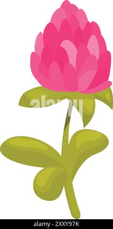 Single pink clover flower blooming on a stem with green leaves on a white background Stock Vector