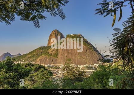 Sugar Loaf hill btween the tropical forest on Rio de Janeiro Stock Photo