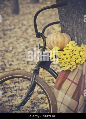 Vintage bicycle decorated with pumpking and flowers in autumn park Stock Photo