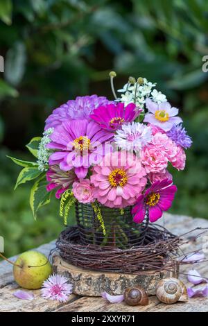 romantic bouquet of pink and purple zinnia flowers, carnations, roses and japanese anemone in the garden Stock Photo