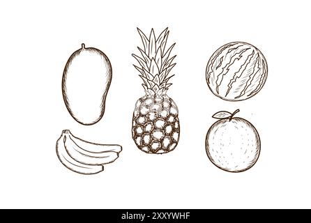 Vintage Retro Hand Drawn Fruits Mango Banana Watermelon Orange Pineapple Logo Design Vector Stock Vector