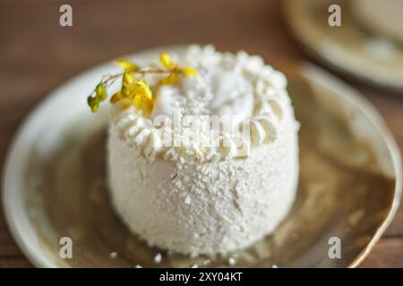 homemake coconut cake on wood background Stock Photo