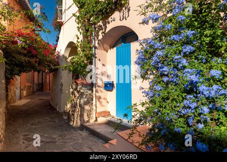 Collioure (south of France): lane in the Old Town Stock Photo