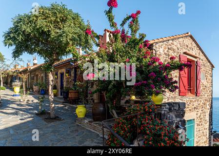 Collioure (south of France): lane in the Old Town Stock Photo