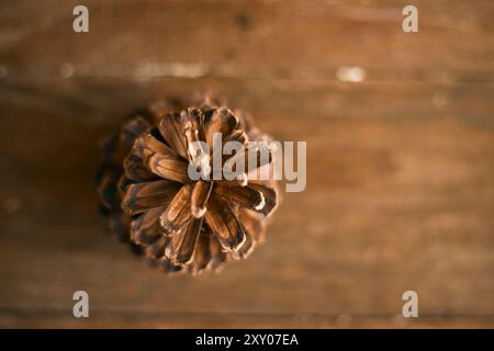 Close up pine cones on beige background, nature concept Stock Photo