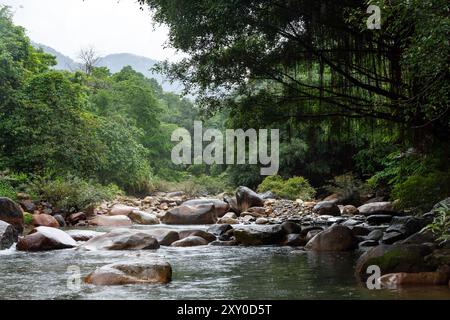 Wild river in the Thai jungles surrounded by beautiful trees with overhanging branches and rocks along the river. Stock Photo