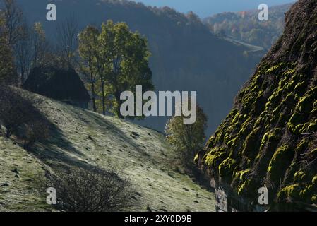 Green moss on a thatched roof. Mountain hut covered with straw Stock Photo