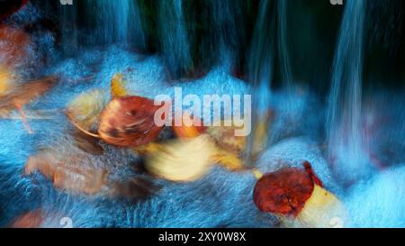 This striking image captures autumn leaves caught in a flowing stream, rendered in a motion blur that creates an abstract, painterly effect Stock Photo