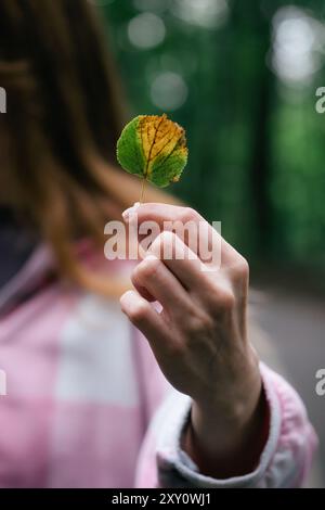 Cropped view of an unrecognizable woman in a forest, delicately holding a colorful leaf. She is looking down, focused on the leaf, surrounded by lush Stock Photo