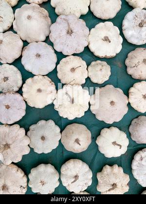 Neat arrangement of white pumpkins spread out on a green surface, perfect for countryside autumnal themes. Stock Photo