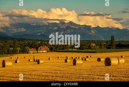 Captivating image capturing a golden sunset over the Alps, framed by hay bales in the foreground and a quaint farmhouse, taken from Geneva, Switzerlan Stock Photo