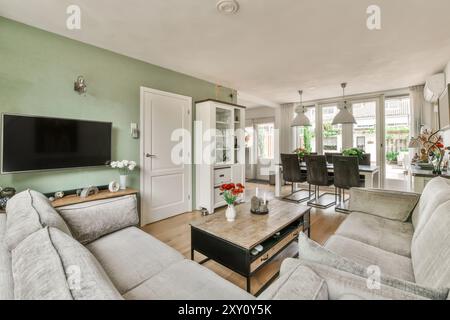A spacious modern living room featuring a muted green wall, comfortable grey sofas, and a sleek flat-screen TV. The room is well-lit, highlighting a w Stock Photo