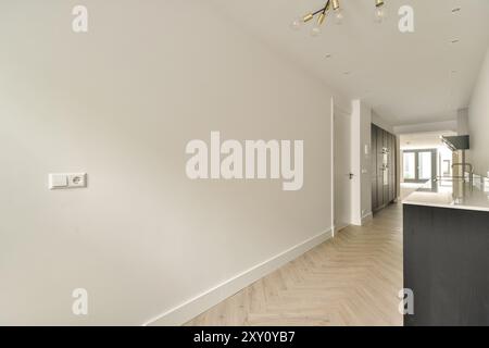 Sleek modern kitchen with a minimalist design style, featuring neutral colors, built-in appliances, and an open hallway. Stock Photo