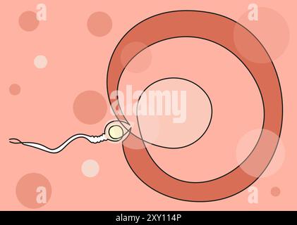 fertilization icon. Detailed icon of parts of human organs icon. Vector continuous line. Stock Vector