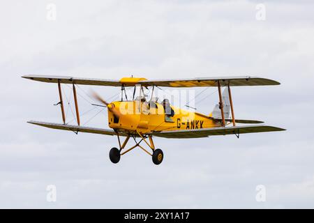 Bright yellow de Havilland Tiger Moth II, G-ANKK on approach to Little Gransden airfield, Cambridgeshire, England Stock Photo