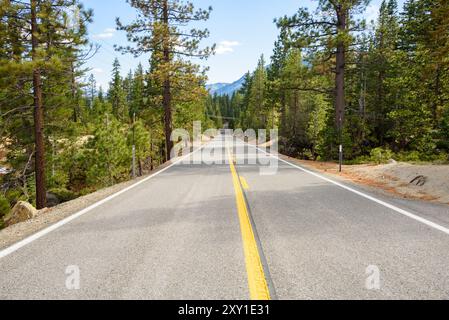 Empty stretch of mountain road through a pine forest on a clear fall day Stock Photo