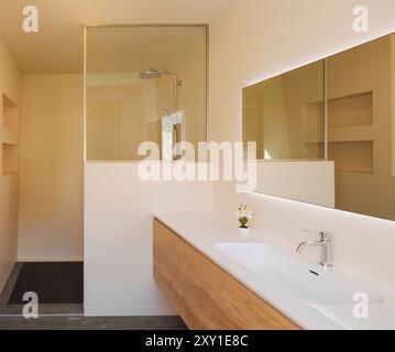 Front view of a modern bathroom with a wooden cabinet with a sink and a shower, there is also a small orchid. Bright window, no one inside Stock Photo