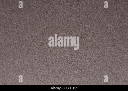 Structure of brown skin pattern macro close up view Stock Photo