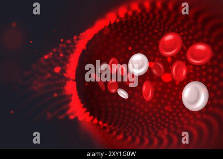 Red and white blood cells in an artery. Veins and vessels illustration. Stock Photo