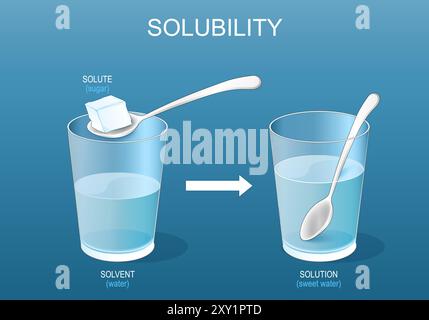 Solubility. Solutions. experiment with sugar and glass of water. Making ...