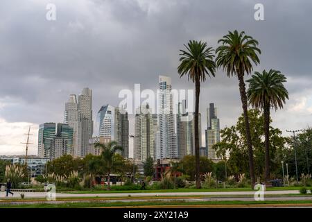 Skyline of Puerto Madero, including the Alvear Tower, the tallest building in Argentina.  Buenos Aires.  Also shown are the Mulieris Towers, the Alvea Stock Photo