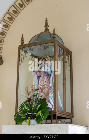 The statue of the Virgin Mary in the Church of Our Lady of the Rosary, Monteros, Argentina, decorated with palm leaves for Palm Sunday. Stock Photo