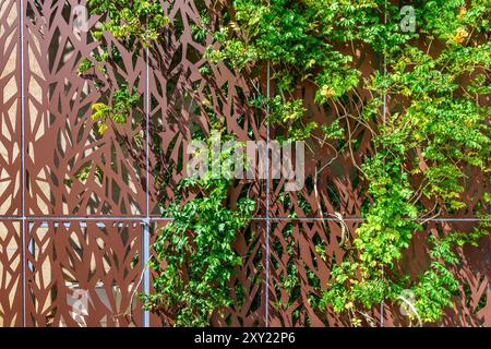 Decorative metal wall screening supporting plant growth - Neuvy-Saint-Sépulchre, Indre-(36), France. Stock Photo