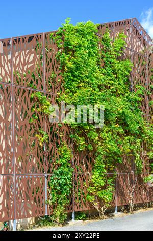 Decorative metal wall screening supporting plant growth - Neuvy-Saint-Sépulchre, Indre-(36), France. Stock Photo