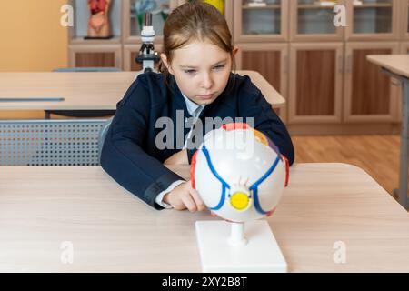 A schoolgirl studies an anatomical model of the eye in a school classroom while sitting at her desk. High quality photo Stock Photo