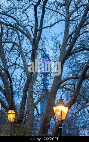 Two street lamps illuminating the trees of Regent's Park with their warm light and in the background, between the branches, the BT Tower of London wit Stock Photo